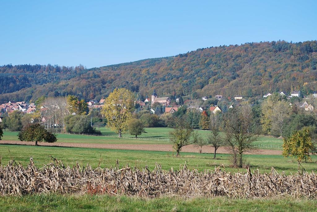 Chambres D'Hotes Les Vignes Saint-Jean-Saverne Dış mekan fotoğraf