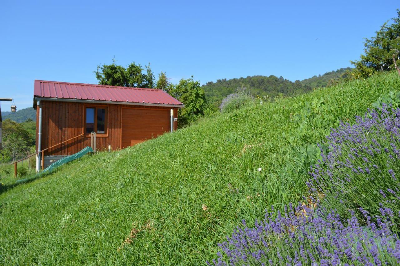 Chambres D'Hotes Les Vignes Saint-Jean-Saverne Dış mekan fotoğraf