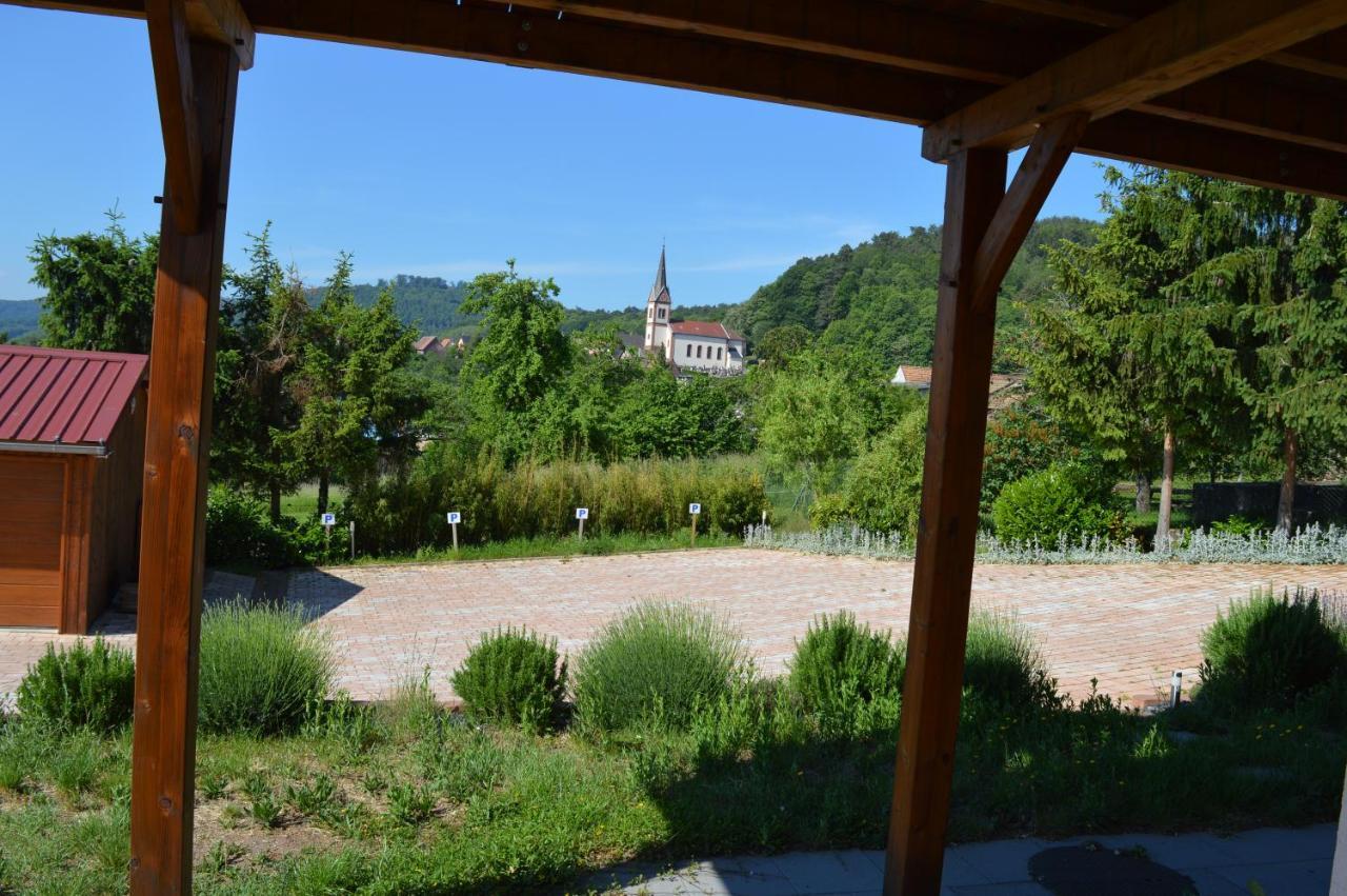 Chambres D'Hotes Les Vignes Saint-Jean-Saverne Dış mekan fotoğraf
