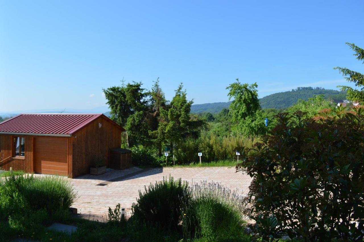Chambres D'Hotes Les Vignes Saint-Jean-Saverne Dış mekan fotoğraf