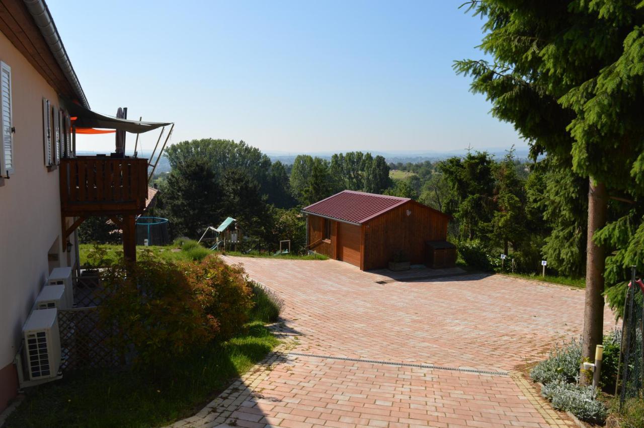 Chambres D'Hotes Les Vignes Saint-Jean-Saverne Dış mekan fotoğraf